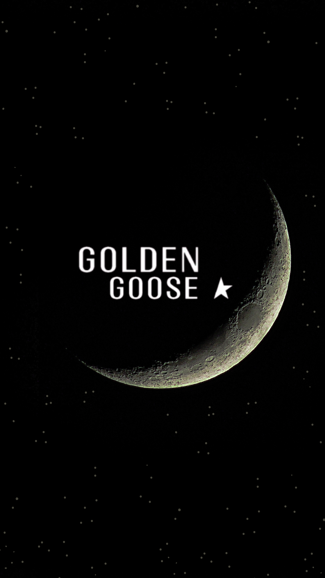 Golden Goose